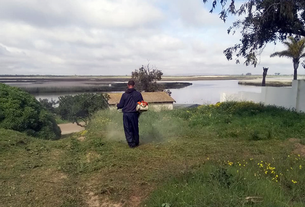 Vacant land clearing