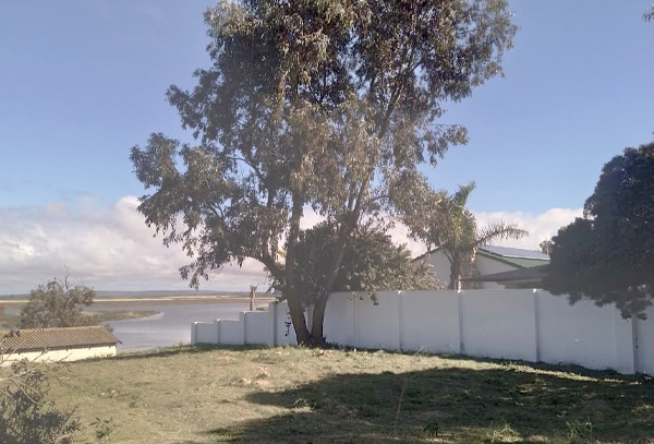 Tree pruning and maintenance